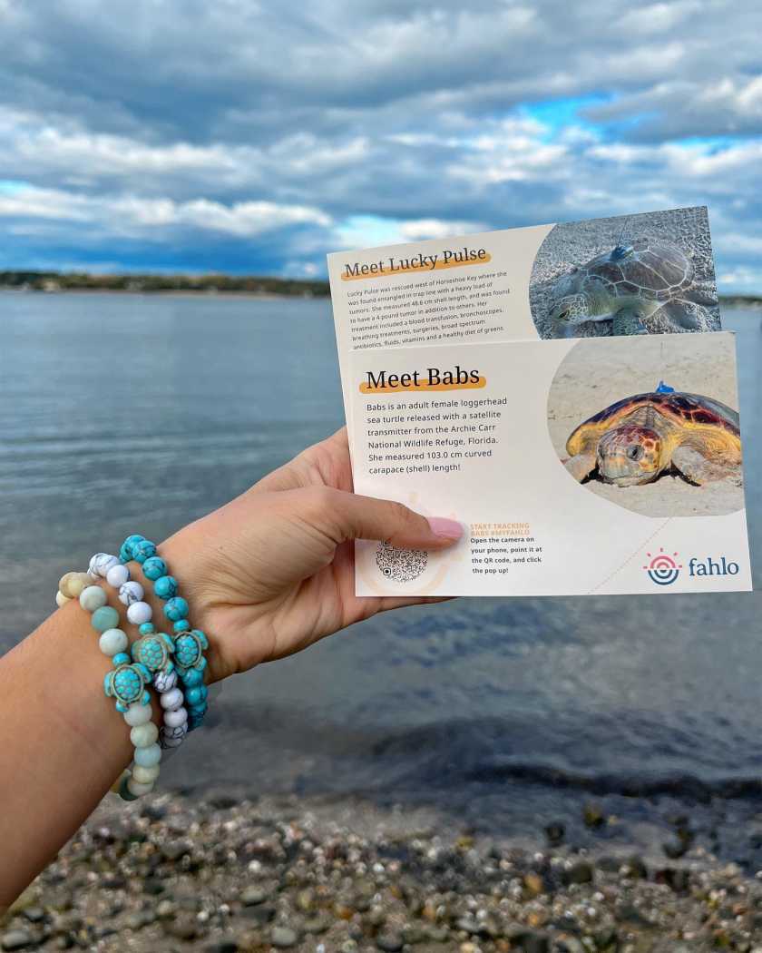 Fahlo Turtle Tracking Bracelets - Fahlo2 1 