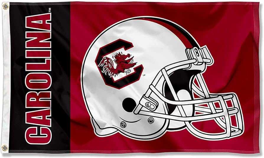 Gamecock Football Tickets AirAuctioneer