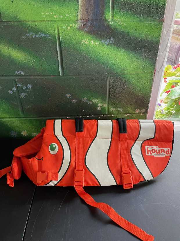 Life Jacket for Dog AirAuctioneer