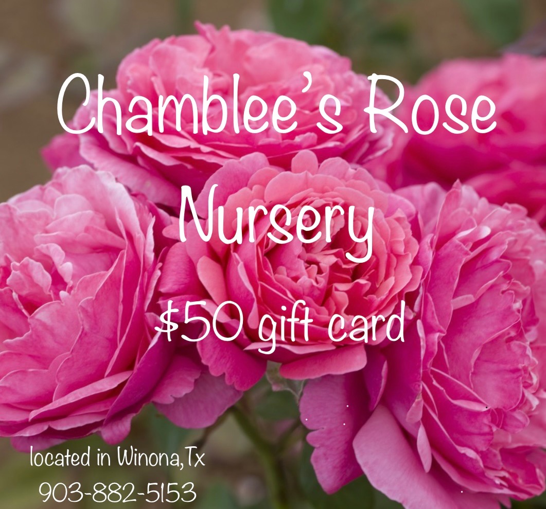 50 Gift Card to Chamblee's Rose Nursery AirAuctioneer