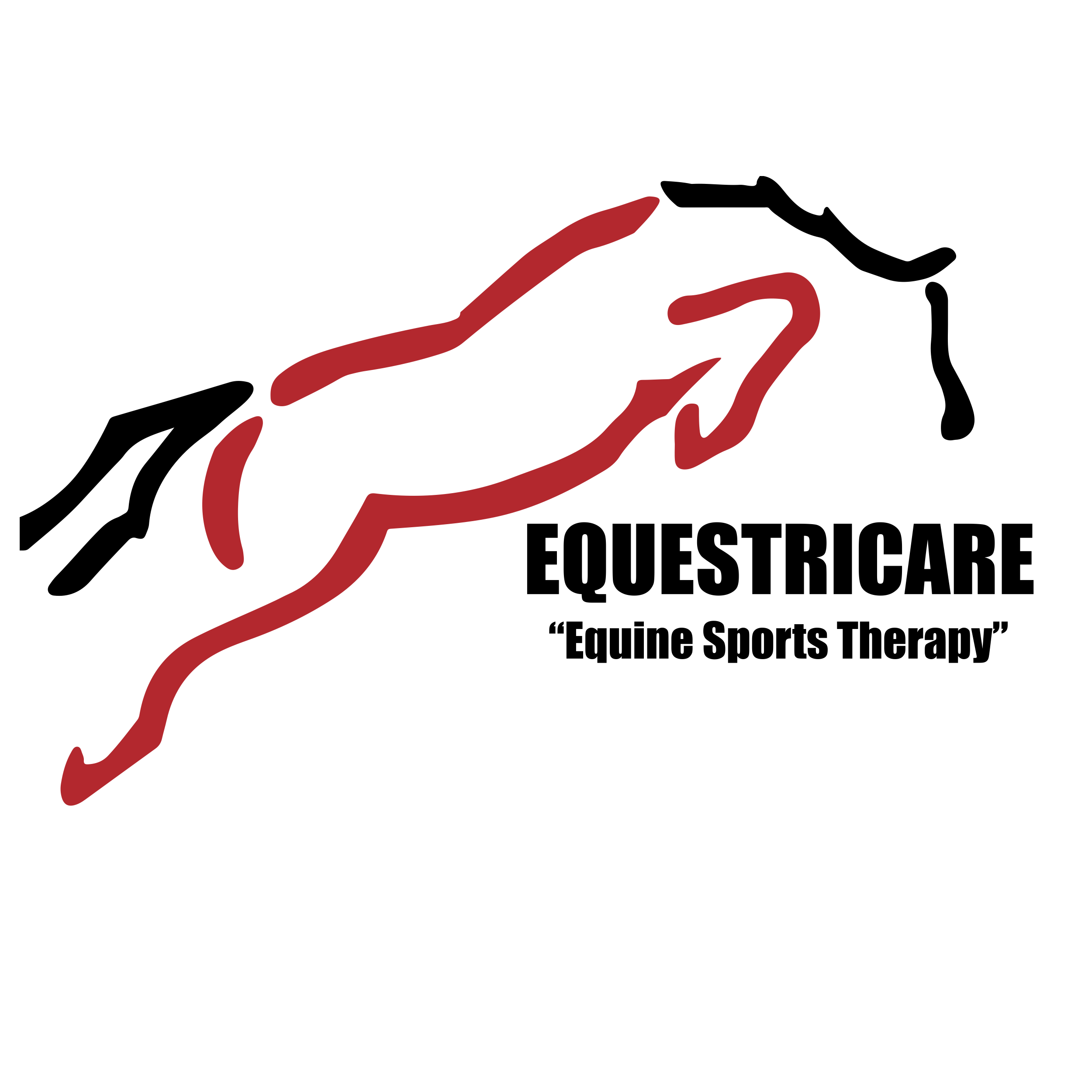 Equine Sports Massage Certificate AirAuctioneer