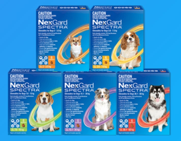 NexGard SPECTRA for Dogs 12 month supply No 2 | AirAuctioneer