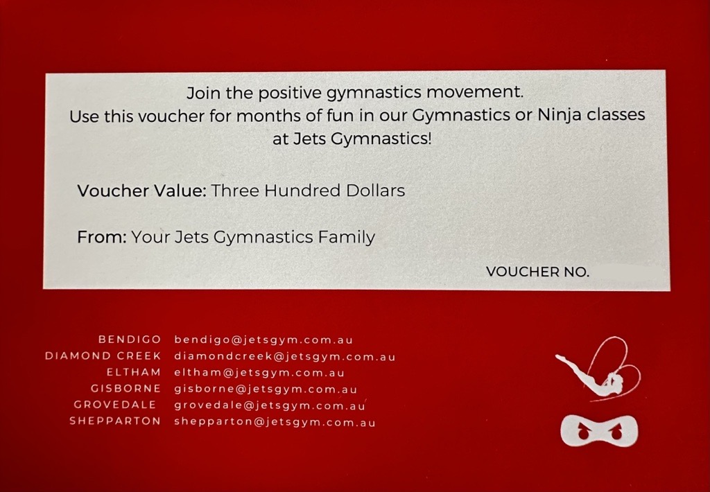 Jets Gymnastics & Fitness Package AirAuctioneer