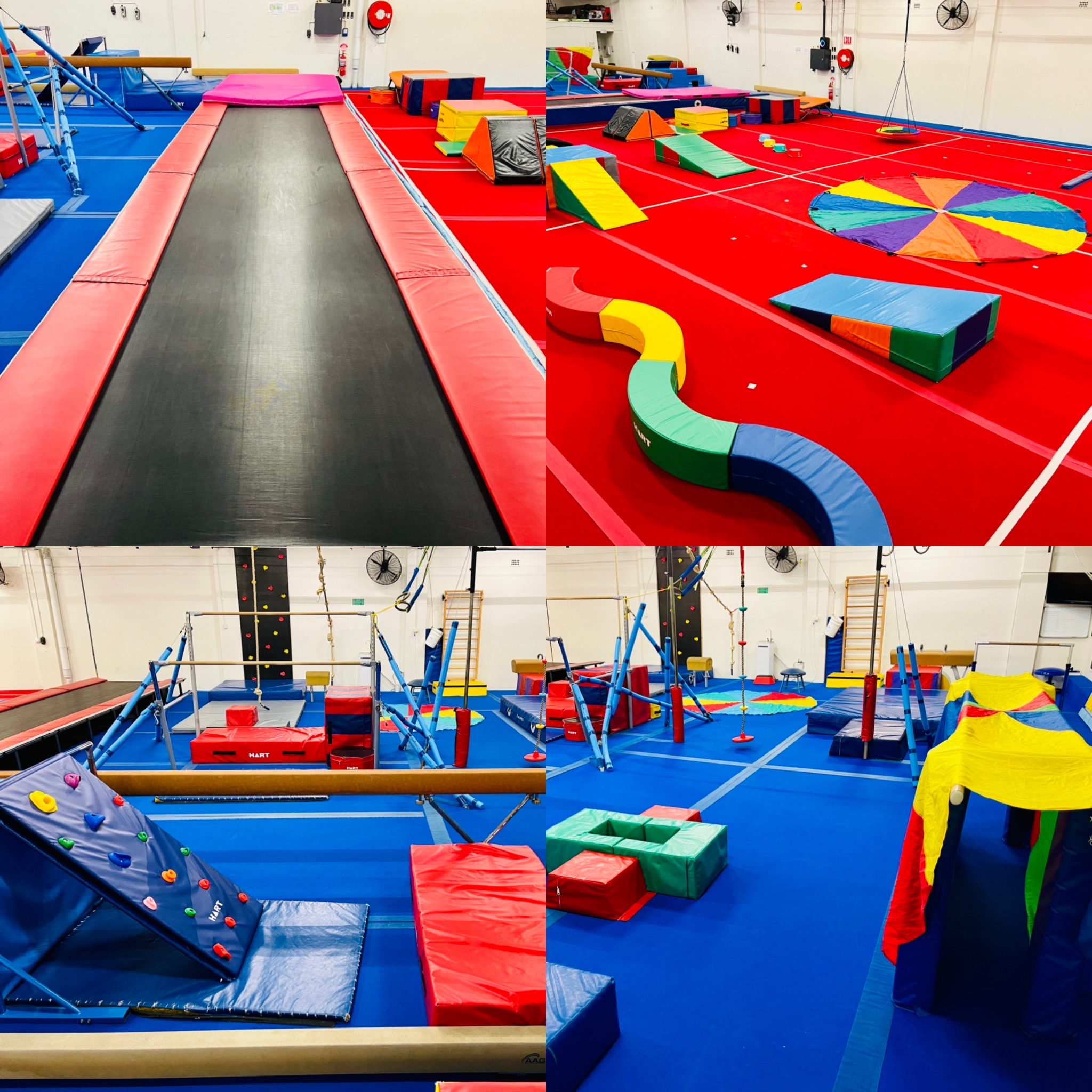 The Gymnastics Revolution 300 voucher AirAuctioneer