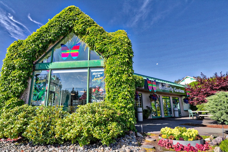 95 One day pass to Victoria Butterfly Gardens for up to 4 AirAuctioneer