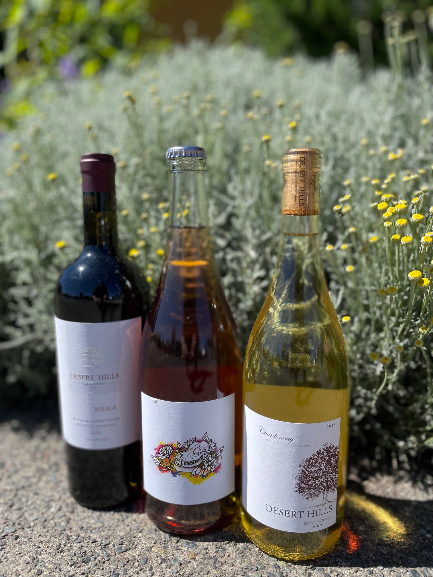92 Desert Hills Wine trio from Storied Wine & Spirits AirAuctioneer