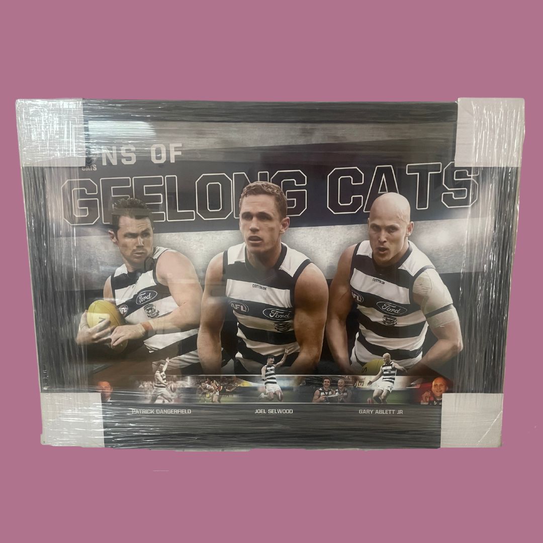 Geelong Cats Sons of Geelong Print (framed) AirAuctioneer