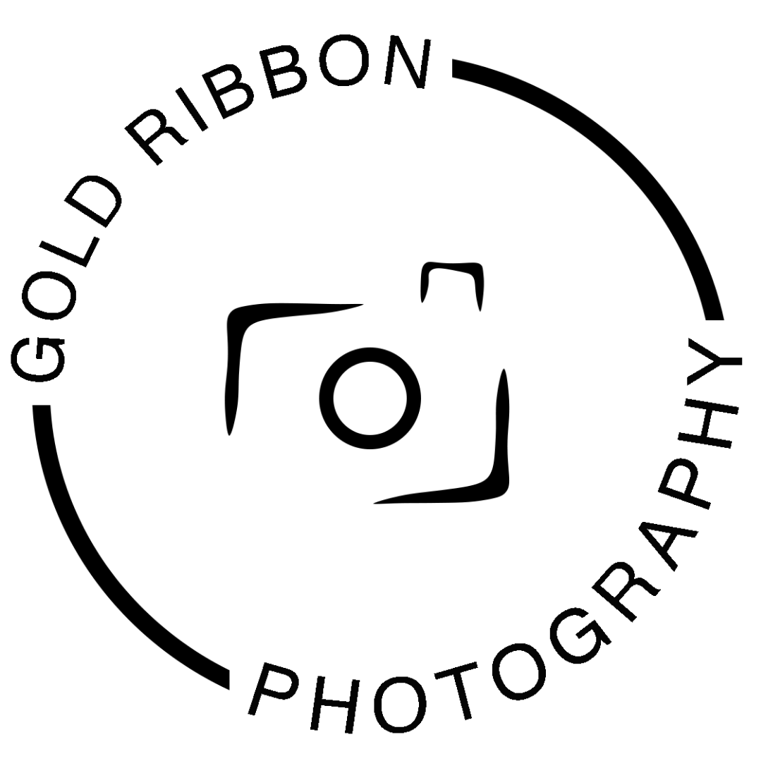 Photography Session with Gold Ribbon Photography AirAuctioneer
